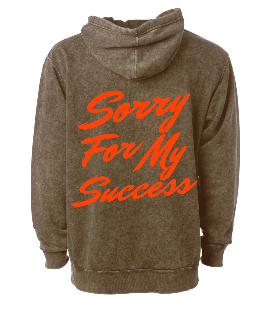 SORRY FOR MY SUCCESS HOODIE